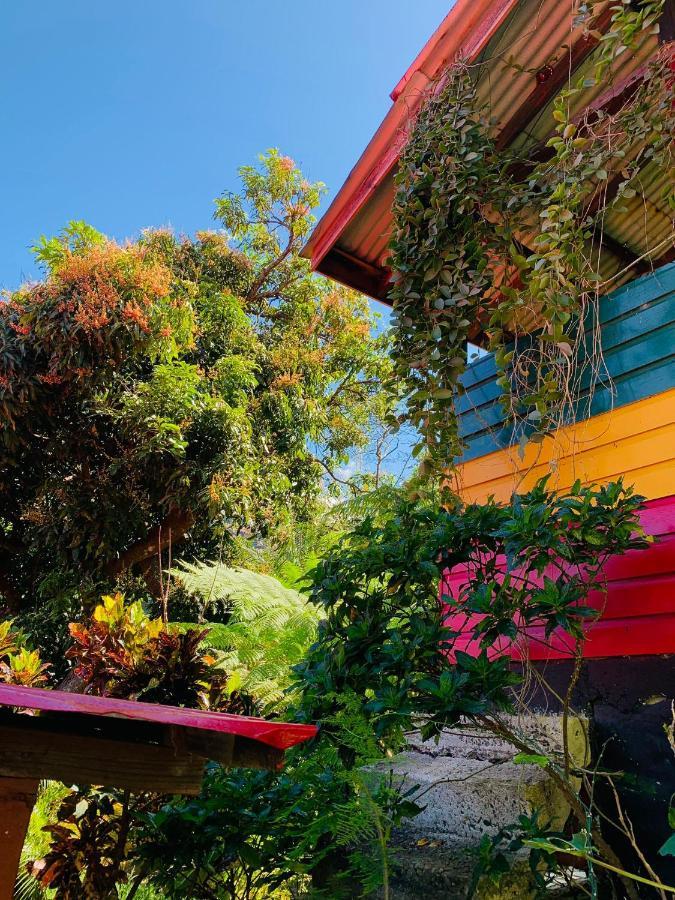 Le Petit Paradis Roseau Exterior foto